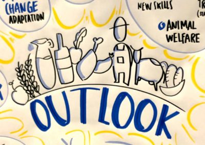 DG Agri outlook conference: graphic recording