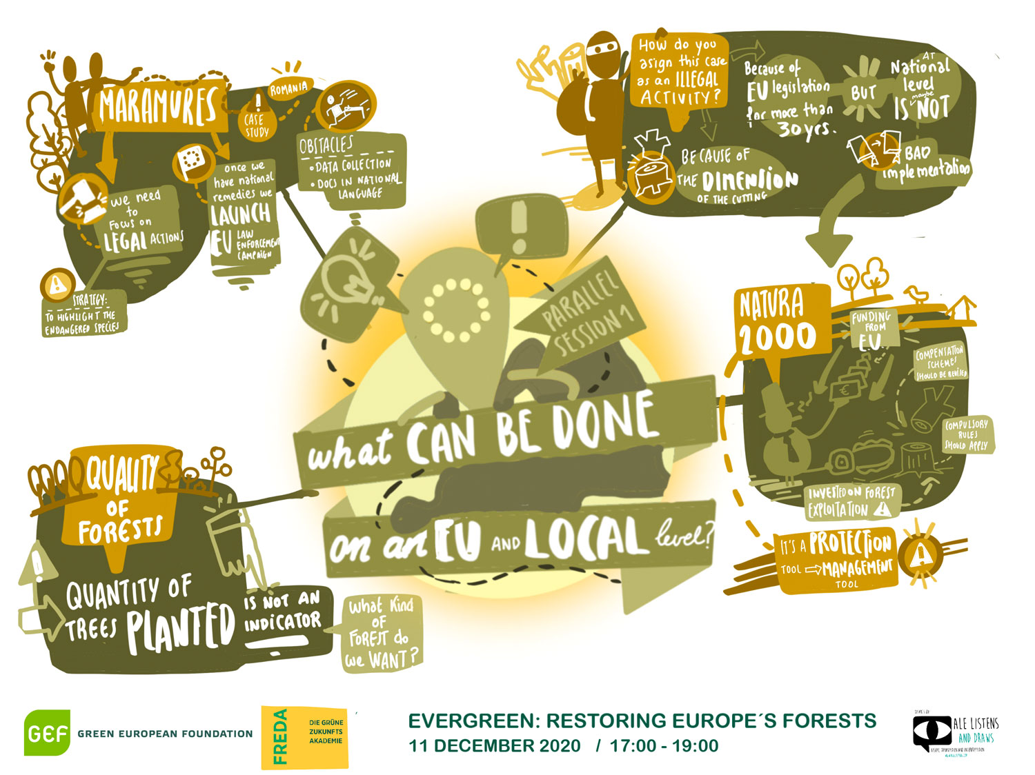 Green European Foundation: Evergreen: Restoring Europe’s Forests
